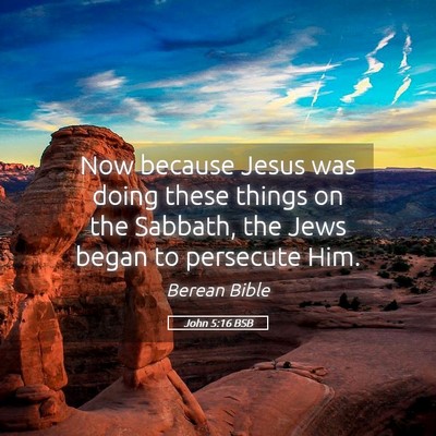 Picture 05 - John 5:16 BSB - Now because Jesus was doing these things on the - Bible Verse Picture