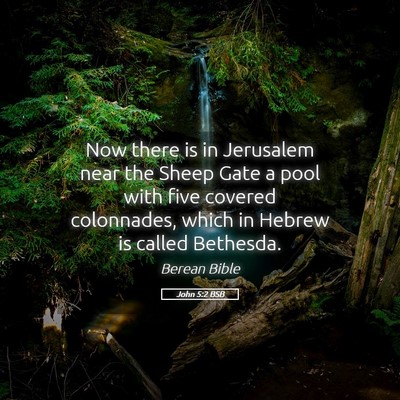 Picture 05 - John 5:2 BSB - Now there is in Jerusalem near the Sheep Gate a - Bible Verse Picture