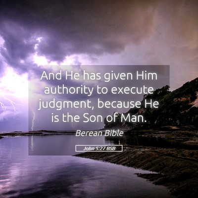 Picture 05 - John 5:27 BSB - And He has given Him authority to execute - Bible Verse Picture