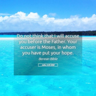 Picture 05 - John 5:45 BSB - Do not think that I will accuse you before the - Bible Verse Picture
