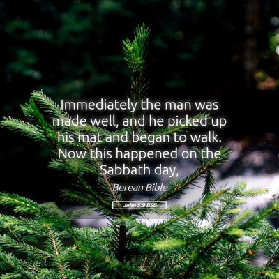Picture 05 - John 5:9 BSB - Immediately the man was made well, and he picked - Bible Verse Picture