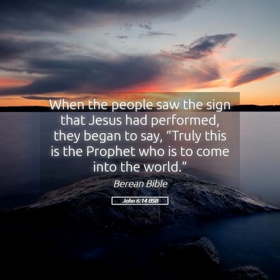 Picture 05 - John 6:14 BSB - When the people saw the sign that Jesus had - Bible Verse Picture