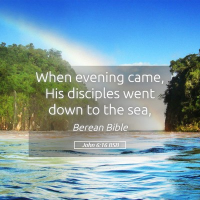 Picture 05 - John 6:16 BSB - When evening came, His disciples went down to the - Bible Verse Picture