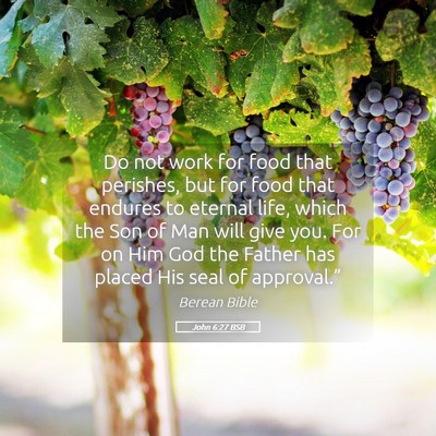 Picture 05 - John 6:27 BSB - Do not work for food that perishes, but for food - Bible Verse Picture