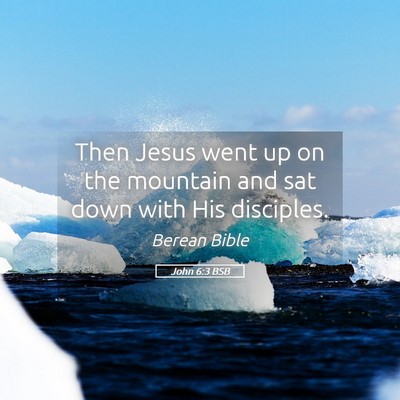 Picture 05 - John 6:3 BSB - Then Jesus went up on the mountain and sat down - Bible Verse Picture