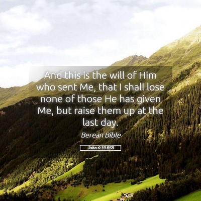 Picture 05 - John 6:39 BSB - And this is the will of Him who sent Me, that I - Bible Verse Picture