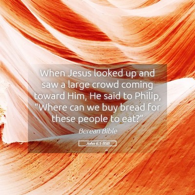 Picture 05 - John 6:5 BSB - When Jesus looked up and saw a large crowd coming - Bible Verse Picture