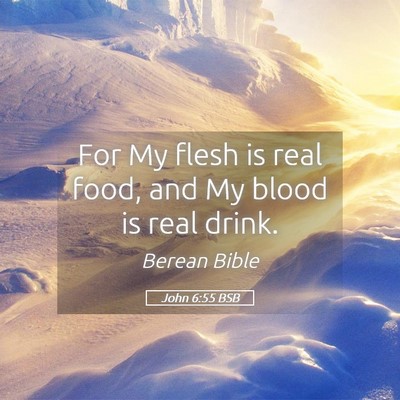 Picture 05 - John 6:55 BSB - For My flesh is real food, and My blood is real - Bible Verse Picture