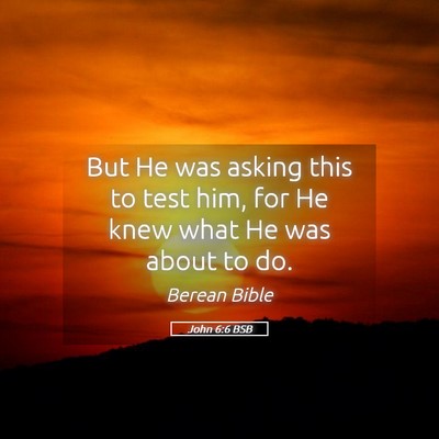 Picture 05 - John 6:6 BSB - But He was asking this to test him, for He knew - Bible Verse Picture
