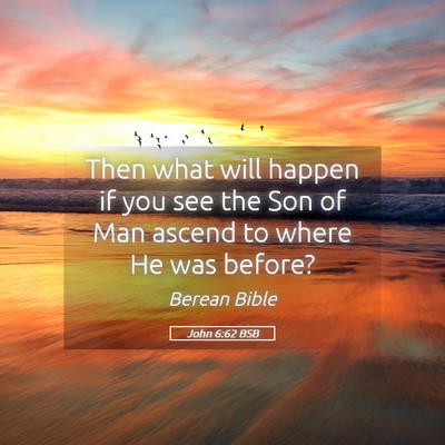 Picture 05 - John 6:62 BSB - Then what will happen if you see the Son of Man - Bible Verse Picture