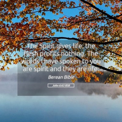 Picture 05 - John 6:63 BSB - The Spirit gives life; the flesh profits nothing. - Bible Verse Picture