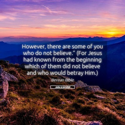 Picture 05 - John 6:64 BSB - However, there are some of you who do not - Bible Verse Picture