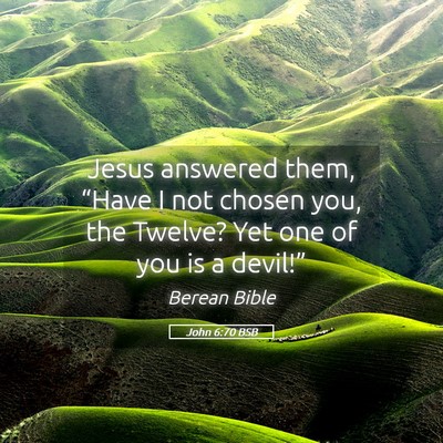 Picture 05 - John 6:70 BSB - Jesus answered them, “Have I not chosen you, - Bible Verse Picture
