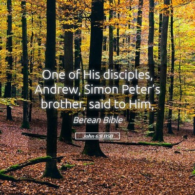 Picture 05 - John 6:8 BSB - One of His disciples, Andrew, Simon Peter’s - Bible Verse Picture