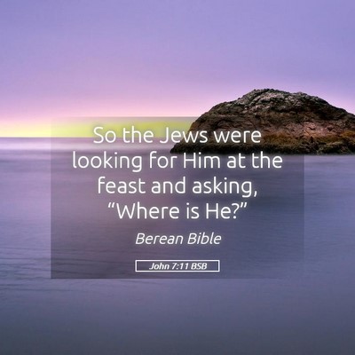 Picture 05 - John 7:11 BSB - So the Jews were looking for Him at the feast and - Bible Verse Picture