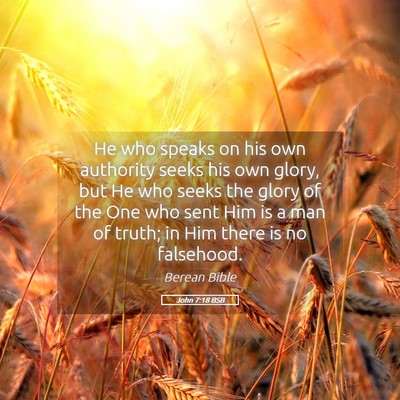 Picture 05 - John 7:18 BSB - He who speaks on his own authority seeks his own - Bible Verse Picture