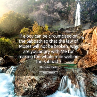 Picture 05 - John 7:23 BSB - If a boy can be circumcised on the Sabbath so - Bible Verse Picture