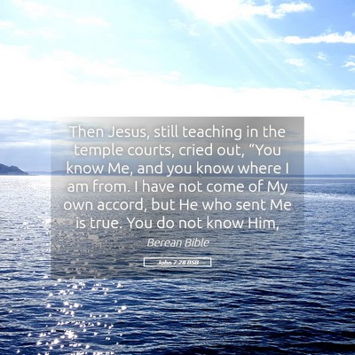 Picture 05 - John 7:28 BSB - Then Jesus, still teaching in the temple courts, - Bible Verse Picture