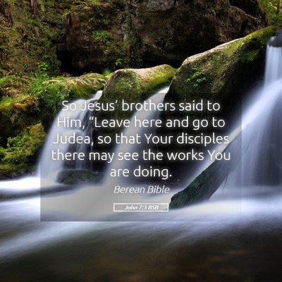 Picture 05 - John 7:3 BSB - So Jesus’ brothers said to Him, “Leave here - Bible Verse Picture