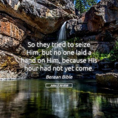 Picture 05 - John 7:30 BSB - So they tried to seize Him, but no one laid a - Bible Verse Picture