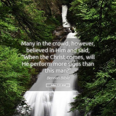 Picture 05 - John 7:31 BSB - Many in the crowd, however, believed in Him and - Bible Verse Picture