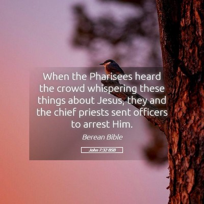 Picture 05 - John 7:32 BSB - When the Pharisees heard the crowd whispering - Bible Verse Picture