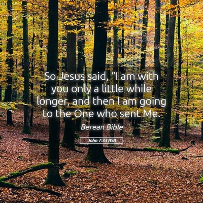 Picture 05 - John 7:33 BSB - So Jesus said, “I am with you only a little - Bible Verse Picture