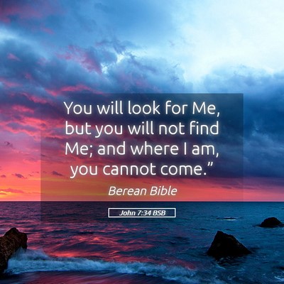 Picture 05 - John 7:34 BSB - You will look for Me, but you will not find Me; - Bible Verse Picture