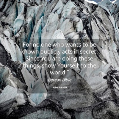 Picture 05 - John 7:4 BSB - For no one who wants to be known publicly acts in - Bible Verse Picture