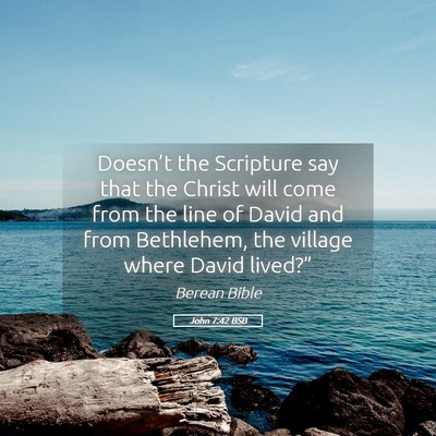 Picture 05 - John 7:42 BSB - Doesn’t the Scripture say that the Christ will - Bible Verse Picture
