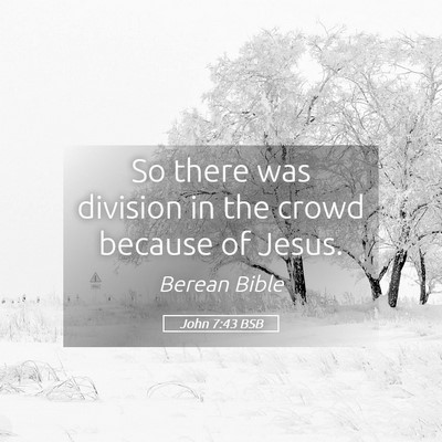 Picture 05 - John 7:43 BSB - So there was division in the crowd because of - Bible Verse Picture