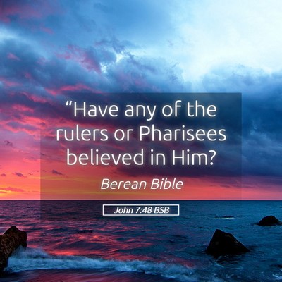 Picture 05 - John 7:48 BSB - “Have any of the rulers or Pharisees believed - Bible Verse Picture