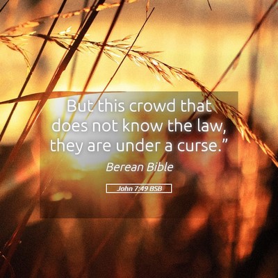 Picture 05 - John 7:49 BSB - But this crowd that does not know the law, they - Bible Verse Picture