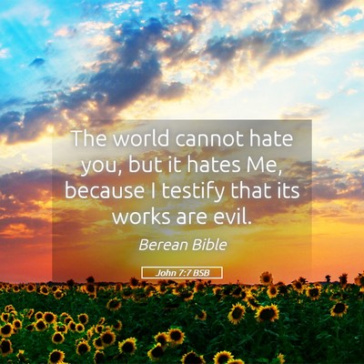 Picture 05 - John 7:7 BSB - The world cannot hate you, but it hates Me, - Bible Verse Picture