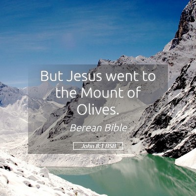 Picture 05 - John 8:1 BSB - But Jesus went to the Mount of - Bible Verse Picture