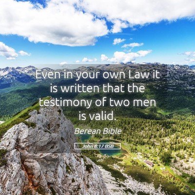 Picture 05 - John 8:17 BSB - Even in your own Law it is written that the - Bible Verse Picture