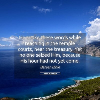 Picture 05 - John 8:20 BSB - He spoke these words while teaching in the temple - Bible Verse Picture
