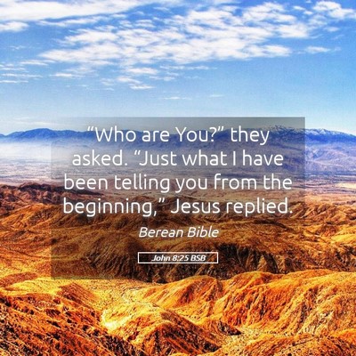 Picture 05 - John 8:25 BSB - “Who are You?” they asked. “Just what I - Bible Verse Picture