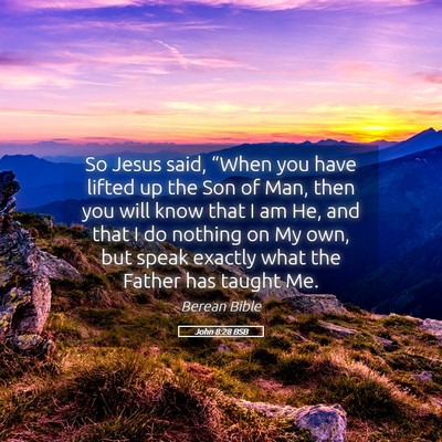 Picture 05 - John 8:28 BSB - So Jesus said, “When you have lifted up the Son - Bible Verse Picture