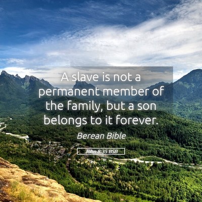 Picture 05 - John 8:35 BSB - A slave is not a permanent member of the family, - Bible Verse Picture