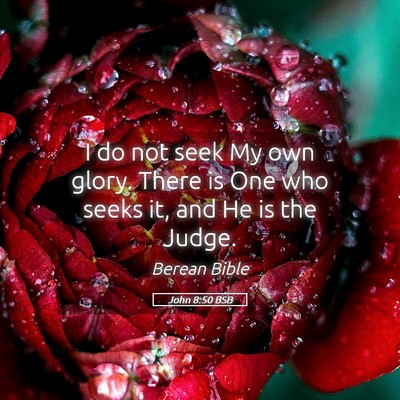Picture 05 - John 8:50 BSB - I do not seek My own glory. There is One who - Bible Verse Picture