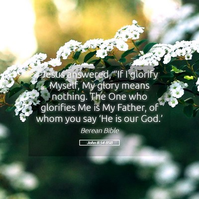Picture 05 - John 8:54 BSB - Jesus answered, “If I glorify Myself, My glory - Bible Verse Picture