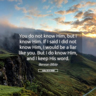 Picture 05 - John 8:55 BSB - You do not know Him, but I know Him. If I said I - Bible Verse Picture