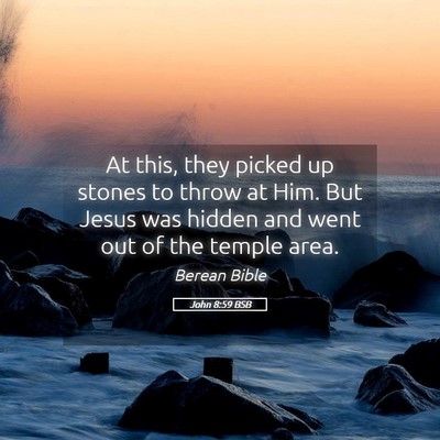 Picture 05 - John 8:59 BSB - At this, they picked up stones to throw at Him. - Bible Verse Picture