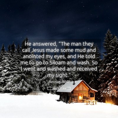 Picture 05 - John 9:11 BSB - He answered, “The man they call Jesus made some - Bible Verse Picture