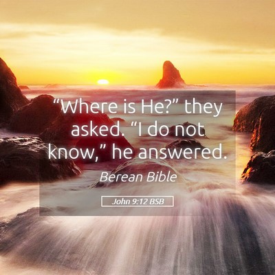Picture 05 - John 9:12 BSB - “Where is He?” they asked. “I do not - Bible Verse Picture