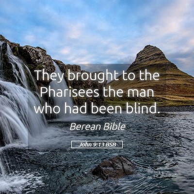 Picture 05 - John 9:13 BSB - They brought to the Pharisees the man who had - Bible Verse Picture