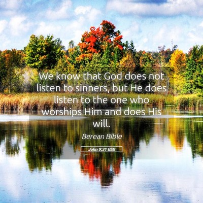 Picture 05 - John 9:31 BSB - We know that God does not listen to sinners, but - Bible Verse Picture
