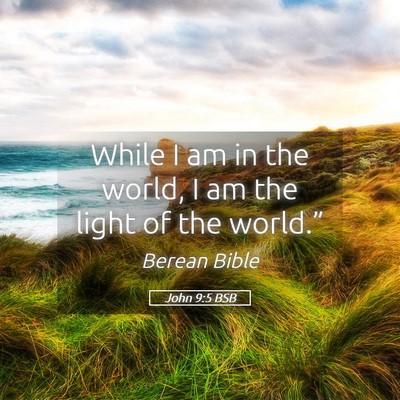 Picture 05 - John 9:5 BSB - While I am in the world, I am the light of the - Bible Verse Picture