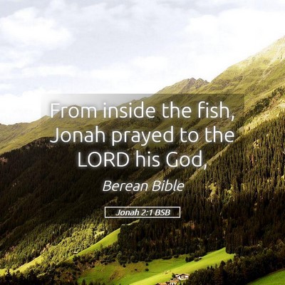 Picture 05 - Jonah 2:1 BSB - From inside the fish, Jonah prayed to the LORD - Bible Verse Picture